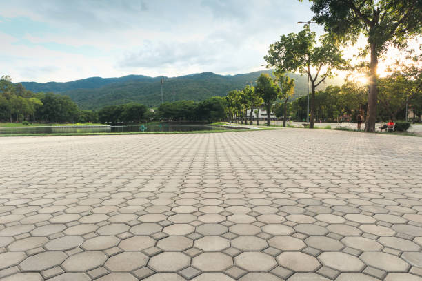 Best Residential Paver Driveway  in Swannanoa, NC